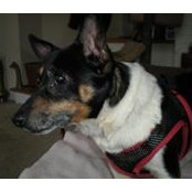 Anne Hauser's photo