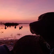Photo de Chris Linneman