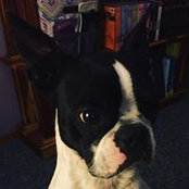 Foto de Danni Best