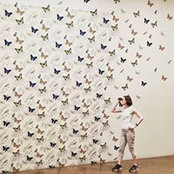 Dana Loughlin's photo