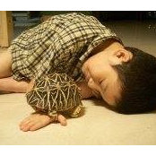 Angus Chenさんの写真