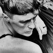 Nick Haughton's photo