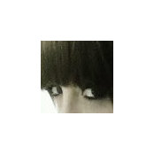 Willow Willow's photo