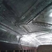 Michael Adams's photo