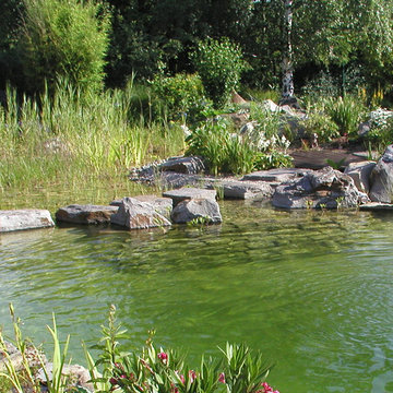 schwimmteich in ingelheim