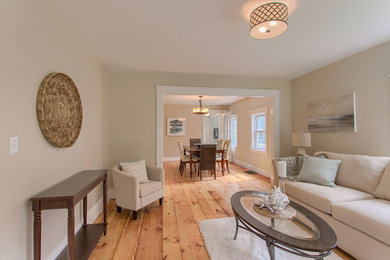 Inspiration for a transitional living room remodel in Boston
