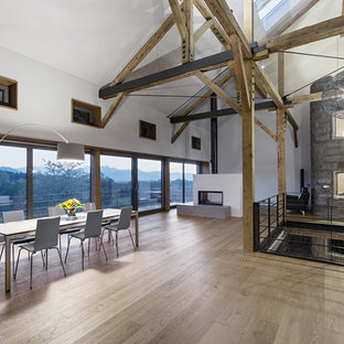 ミュンヘンの巨大なラスティックスタイルのLDKの画像 (両方向型暖炉)