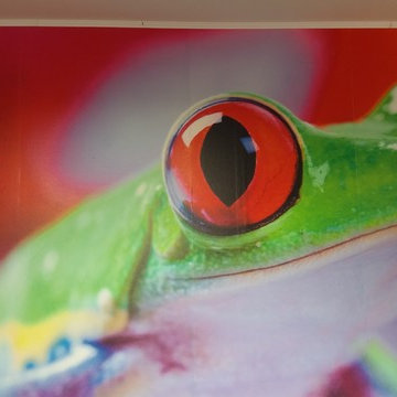 Wandgestaltung mit Humor in Essen