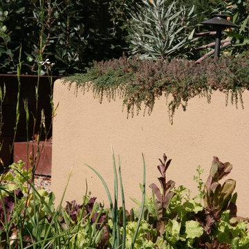 Formal & Whimsical Estate Garden