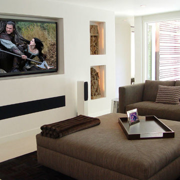 Home theaters and Automation Systems