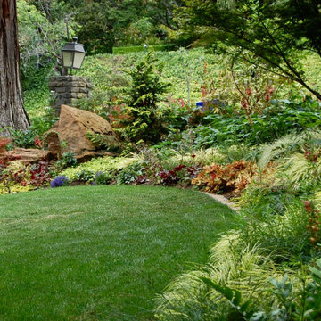 Vibrant Piedmont Front Yard