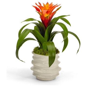 Artificial bromeliad in white wavy container - yellow, Orange