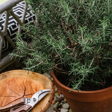 Roan Landscaping