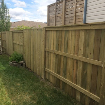 Dundonald fence and arbor gate