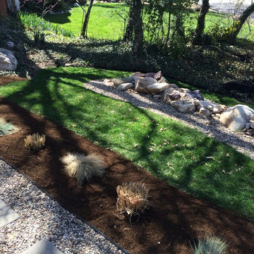 Olympus Cove: Black Mulch