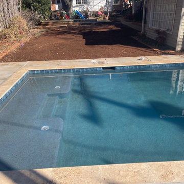 Small Concrete Pool with Travertine Coping
