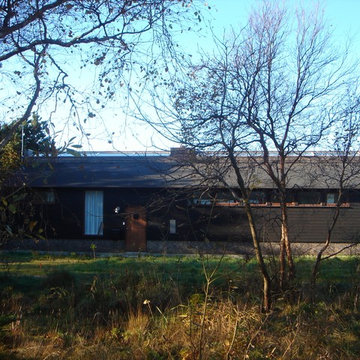 Paradislyngen