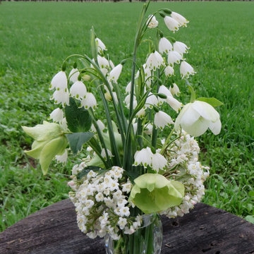 Cutting Garden