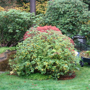 Edmonds Landscaping Project