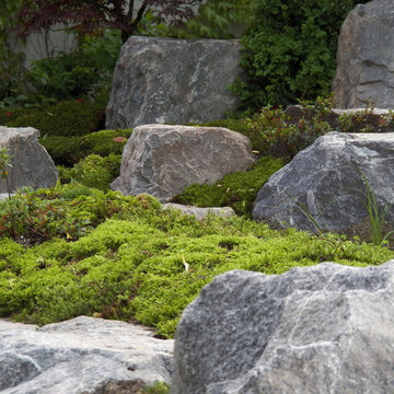 Teich- Moosgarten im Schwarzwald