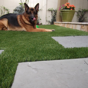 Residential Lawn