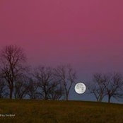 Lynn Berry's photo