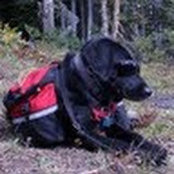 Carter Cooper's photo