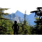Kaan Altan's photo