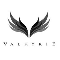 Valkyrie Design