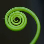 Evgeni Andreev's photo