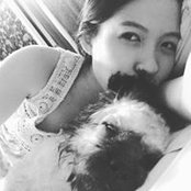 Vân Việt's photo