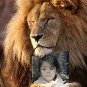 Pranay Thakker's photo