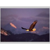 Judy Eide's photo
