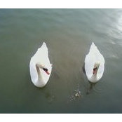Foto von Kathy Payerchin