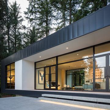 Collectors' Retreat