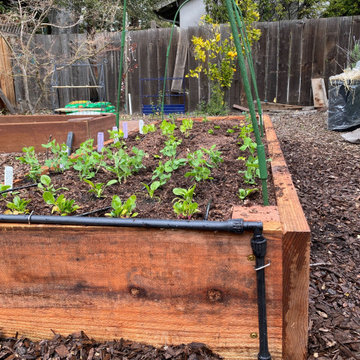 SF Bay Garden Installation