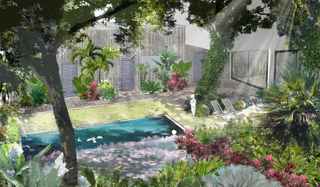 Avant/Après : Un jardin transformé en oasis tropicale à La Réunion
