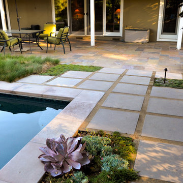Geometry Overgrown: a Modern Pool & Landscape
