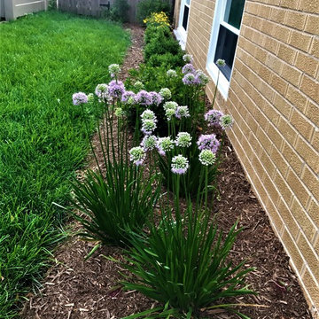 Hydrangea Tree Property