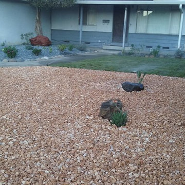 New Front Yard. Grass, Planting and Pebbles in San Pablo CA