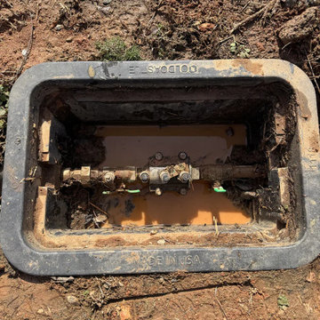 Backflow Preventers (BFP)