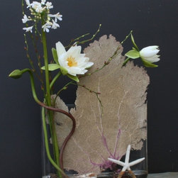 White water Lilly, Assorted shells. Fan-tastic-1 - Home Decor