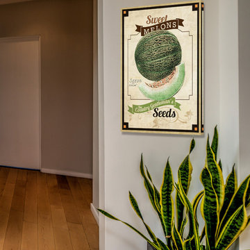 Seed Packet Melon