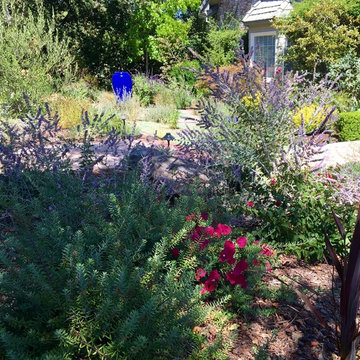 Lawn Replacement in a Challenging Environment