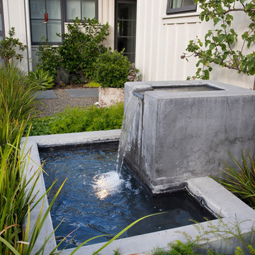 Belvedere Lagoon Refresh