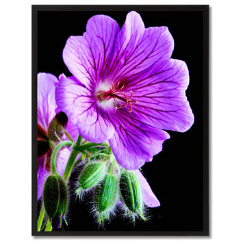 Purple Cranesbill Geranium Flower Print on Canvas with Picture Frame, 13"x17"