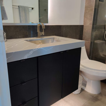 Complete Master Bath and Guest Bath Remodel