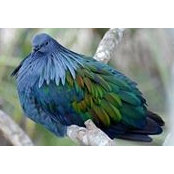 Douglas Sills's photo