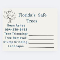 Florida’s Safe Trees