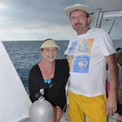 Carol McDonough's photo